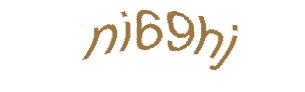 عبارت امنیتی
