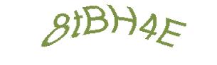 عبارت امنیتی