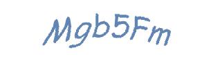 عبارت امنیتی