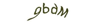 عبارت امنیتی