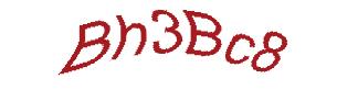 عبارت امنیتی