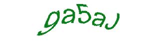 عبارت امنیتی