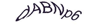 عبارت امنیتی