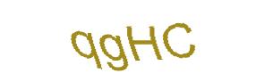 عبارت امنیتی